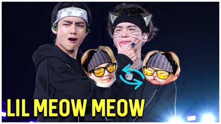 Turns Out Meow Bahh Is A Guy, Recent Face Reveal Has Many In Dismay